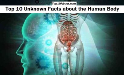 Top 10 Unknown Facts about the Human Body